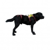 Harness for Dogs Kronos