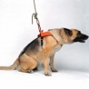 SMEUS Harness for dog