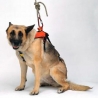 SMEUS Harness for dog