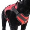 Arnés para perros TRAK Dimatex