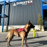 Arnés para perros TRAK Dimatex