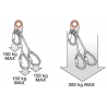 Petzl Iguane 25 cm