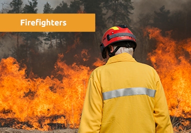 Firefighters and Fire Brigades forest